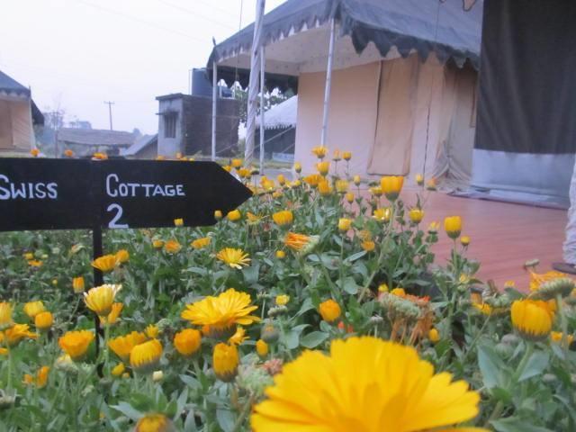 Derra Camp And Resort Jhajra ภายนอก รูปภาพ